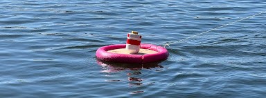 Proto Onda buoy in water